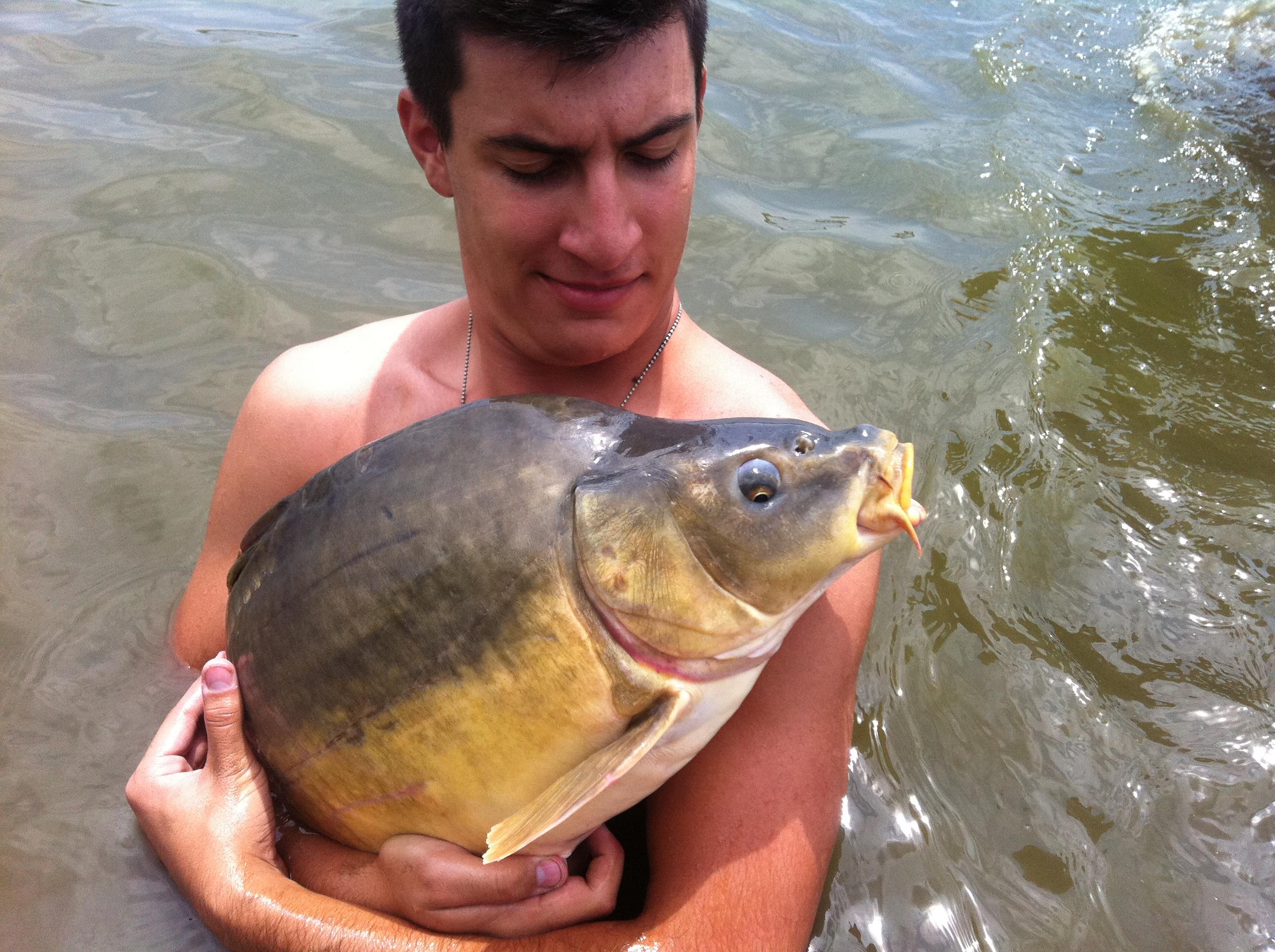 Greaca -2011 - IMG_0567.JPG